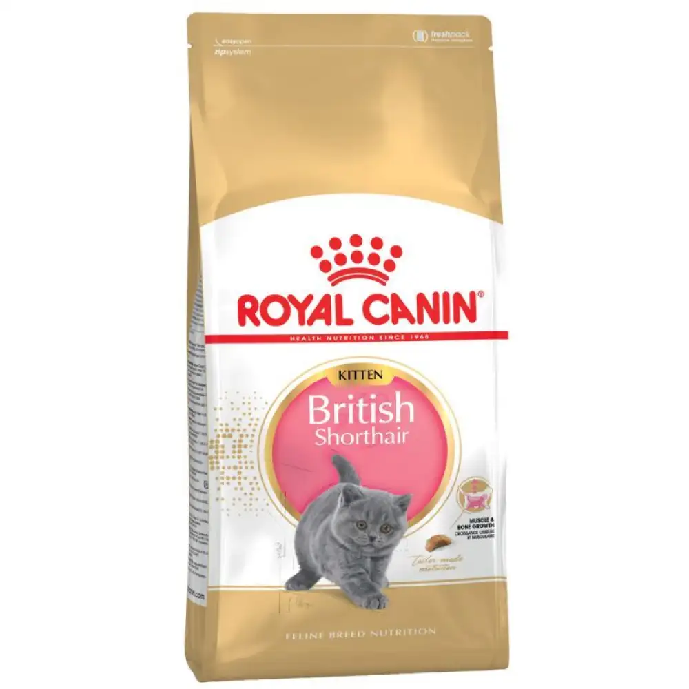 royalcanin-british-kitten رویال کنین بریتیش کیتن